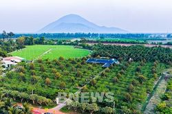 Tây Ninh thúc đẩy chuyển đổi xanh, hướng tới kinh tế tuần hoàn