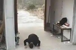 Người đàn ông quỳ lạy trước căn nhà cũ, câu chuyện đằng sau gây nghẹn lòng