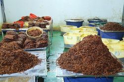 Biến 130 tấn thịt tr&acirc;u Ấn Độ th&agrave;nh 65 tấn 'kh&ocirc; b&ograve;', thu khoảng 21 tỷ đồng