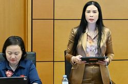 Đại biểu Quốc hội Trần Lan Phương: Thu hồi đất phải gắn với phục hồi sinh kế