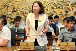 T&iacute;ch hợp đầu mối, kh&ocirc;ng t&iacute;ch hợp cơ học quyền lợi nh&oacute;m yếu thế
