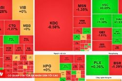 Chứng kho&aacute;n phi&ecirc;n s&aacute;ng 19/8: VN-Index giảm 7,89 điểm