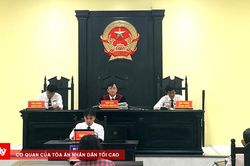 Hòa giải trước, hay thu thập chứng cứ trước?