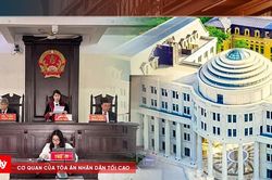 Tòa án tạo điều kiện sử dụng thiết bị điện tử để tra cứu hồ sơ, tài liệu, chứng cứ tại phiên tòa