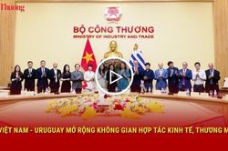Việt Nam - Uruguay mở rộng kh&ocirc;ng gian hợp t&aacute;c kinh tế, thương mại