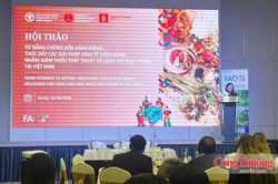 Lương thực toàn cầu 'bốc hơi' 400 tỷ USD mỗi năm