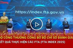 Bộ C&ocirc;ng Thương c&ocirc;ng bố Bộ chỉ số đ&aacute;nh gi&aacute; kết quả thực hiện c&aacute;c FTA (FTA Index 2025)