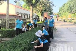 Thắp sáng làng quê, tô xanh cuộc sống