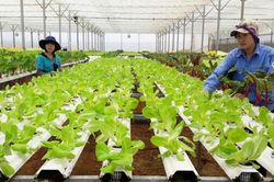 Bộ T&agrave;i ch&iacute;nh đề xuất nhiều cơ chế hỗ trợ, ph&aacute;t triển hợp t&aacute;c x&atilde; trong kỷ nguy&ecirc;n mới