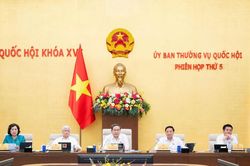 Ủy ban Thường vụ Quốc hội cho ý kiến về dự án Bộ luật Hình sự (sửa đổi)