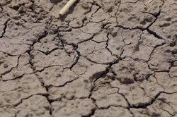 El Niño 2026 có thể mạnh nhất trong lịch sử