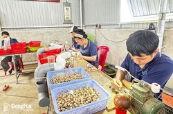 Phát triển sản phẩm OCOP theo mô hình kinh tế xanh