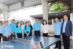 Đoàn đại biểu Trung ương Liên hiệp Công đoàn Lào trao đổi hoạt động Công đoàn tại Đồng Nai