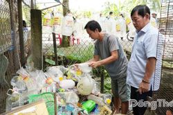 Đồng Th&aacute;p: Quyết liệt kiểm so&aacute;t bệnh sốt xuất huyết trong cao điểm m&ugrave;a mưa