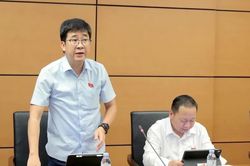 Đoàn Đại biểu Quốc hội tỉnh Lào Cai tham gia thảo luận các dự án luật quan trọng và Chương trình mục tiêu quốc gia
