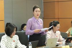 Đoàn đại biểu Quốc hội tỉnh Lào Cai đề xuất nhiều giải pháp hoàn thiện chính sách đất đai, bất động sản