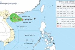 Áp thấp nhiệt đới trên Biển Đông ngày 19/08/2026: Gió mạnh cấp 7, giật cấp 9, biển động mạnh