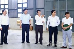 Nhân rộng mô hình sản xuất nông nghiệp hiệu quả