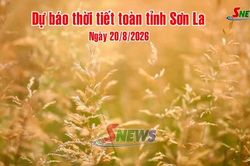 Dự b&aacute;o thời tiết to&agrave;n tỉnh Sơn La ng&agrave;y 20/8/2026