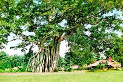 Phát huy truyền thống Cách mạng Tháng Tám, viết tiếp trang sử tự hào