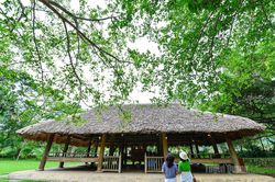 Mùa thu trở lại Tân Trào