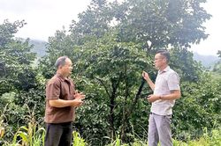 Đánh thức tiềm năng kinh tế ở Nghĩa Thuận