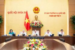 Bộ luật Hình sự tính sửa đổi, bổ sung 9 tội danh mới, chỉ giữ án tử hình với 4 tội