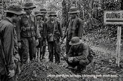Hồ sơ số 71/2026: Những ngôi mộ dọc đường số 10