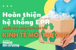 PGS.TS Nguyễn Thế Chinh: Hoàn thiện EPR – Đã đến lúc chấm dứt tư duy "nộp tiền là xong trách nhiệm"