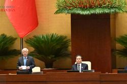 Hợp nhất luật cần đặt trong tổng thể đổi mới cơ chế quản l&yacute; ng&acirc;n s&aacute;ch Nh&agrave; nước v&agrave; đầu tư c&ocirc;ng
