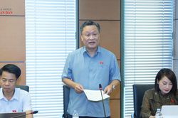Tích hợp các chương trình nhưng không để 'hòa loãng' mục tiêu