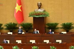 Quốc hội nghe báo cáo định hướng chính sách sửa đổi Luật Đất đai