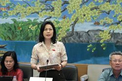 ĐBQH Vũ Thị Lan Anh (Nghệ An): Gắn phân cấp, phân quyền với kỷ luật tài khóa