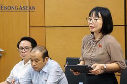 Đại biểu Quốc hội: Bảo vệ người mua nhà ngay từ dòng tiền ứng trước