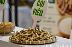 Việt Nam có thể chịu thiệt hại môi trường hàng tỷ USD do thất thoát, lãng phí thực phẩm