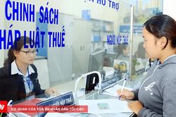 Ngành Thuế rà soát hơn 617.000 mã số thuế tồn đọng