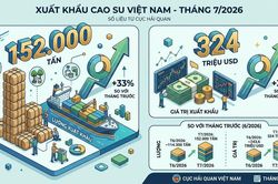 Ngành cao su và bài toán tăng giá trị thay vì tăng sản lượng