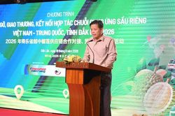 Sầu ri&ecirc;ng Đắk Lắk: Từ b&aacute;n quả tươi đến x&acirc;y dựng chuỗi gi&aacute; trị
