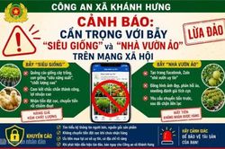 Cảnh giác thủ đoạn lừa bán 'siêu giống' trên mạng xã hội