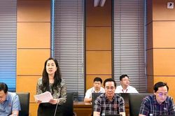 Tháo gỡ tồn tại lịch sử đất đai nhưng không hợp pháp hóa sai phạm