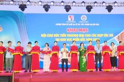 Xúc tiến thương mại hợp tác xã khu vực miền Bắc