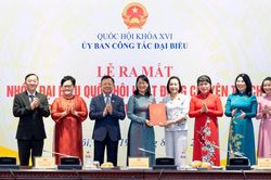 Ra mắt Nhóm đại biểu Quốc hội chuyên trách ở địa phương