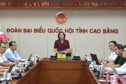 Triển khai các hoạt động hưởng ứng Ngày Pháp luật Việt Nam năm 2026