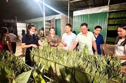 Nam Tuấn khai thác hiệu quả tiềm năng, phát triển kinh tế - Bài cuối