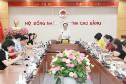 Thẩm tra dự thảo nghị quyết về chủ trương chuyển mục đích sử dụng rừng sang mục đích khác trên địa bàn tỉnh