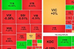 Chốt phiên 19/8: VN-Index giảm hơn 5 điểm, 220 mã HoSE chìm trong sắc đỏ