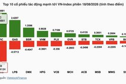 Nhận định chứng khoán 19/8: Giằng co giữa hỗ trợ 1.720 và kháng cự 1.750