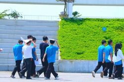 Phân tích thống kê kết quả điểm thi lại tại trường chuyên Tuyên Quang
