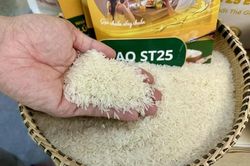 Gạo ST25 Việt Nam chính thức lên kệ hệ thống bán buôn tại Đức