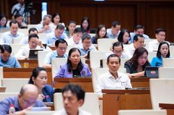Quốc hội họp đợt 2 Kỳ họp không thường lệ, xem xét định hướng sửa Luật Đất đai